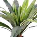Asplenium artificiel tronc*30