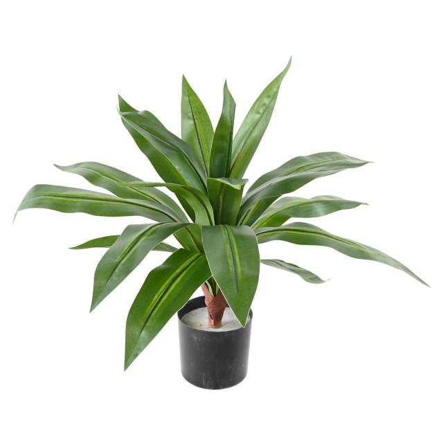 DRACAENA Artificiel LARGE