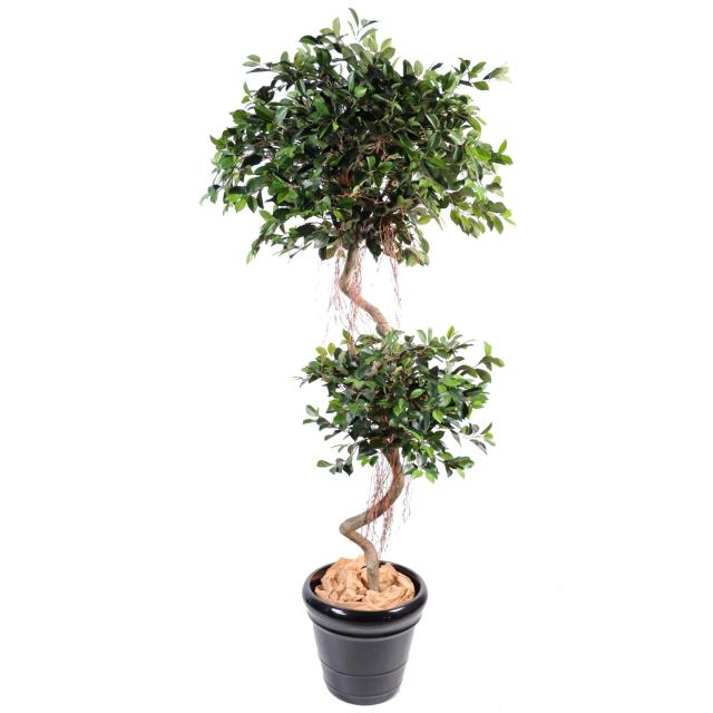 Ficus Artificiel Tronc Spirale 2 Boules