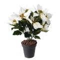 Poinsettia artificiel*9