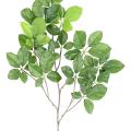 HETRE Artificiel GRANDIFOLIA SPRAY