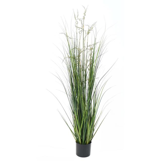 BERRY artificiel ONION GRASS