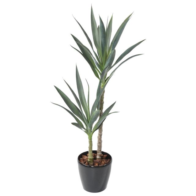 YUCCA Artificiel RAPIER