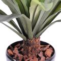 Asplenium artificiel tronc*30