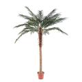 Phoenix artificiel PALM