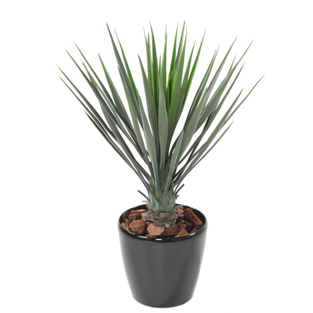 YUCCA Artificiel ROSTRATA 60