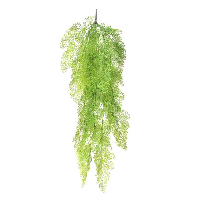 Asparagus Rond Chute Artificielle