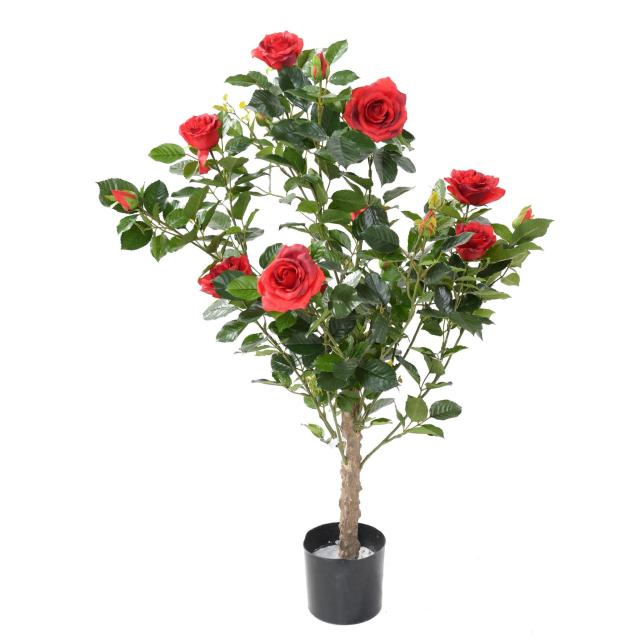 Rosier artificiel royal