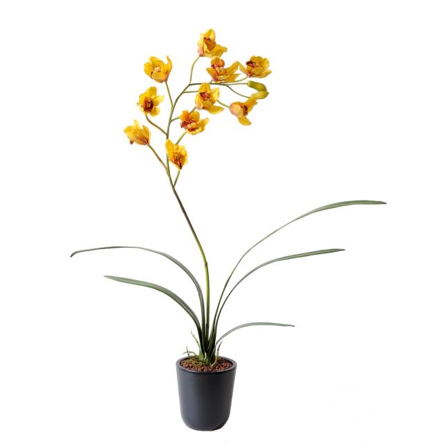 Cymbidium artificiel