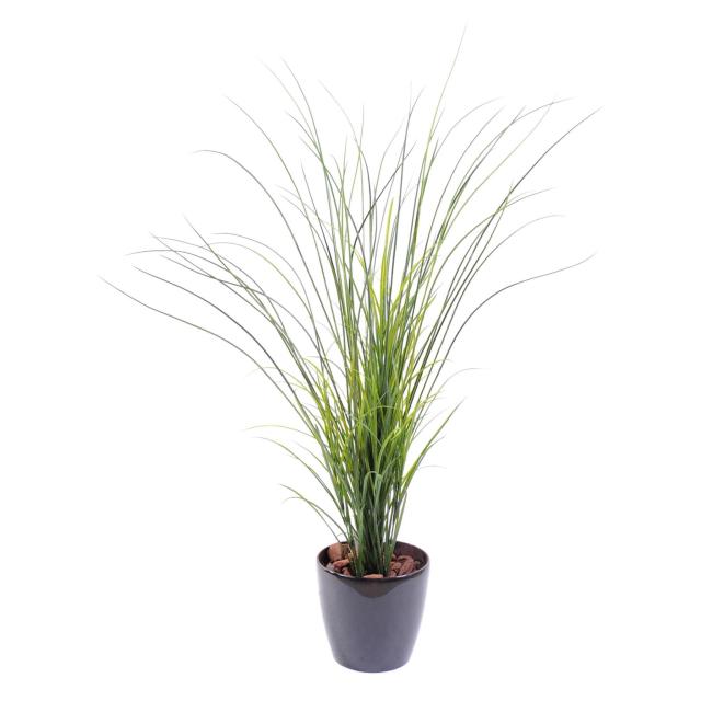 Herbe de Riviere PLAST