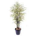 Bambou artificiel BLACK SHIROSHIMA LARGE