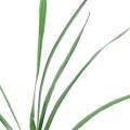 Feuille artificielle cymbidium