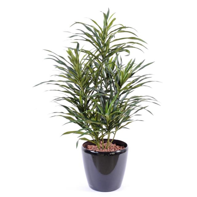 Dracaena artificiel ANITA POT