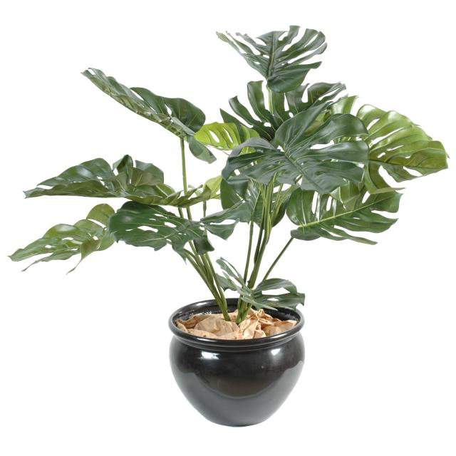 Philodendron artificiel GEANT*15