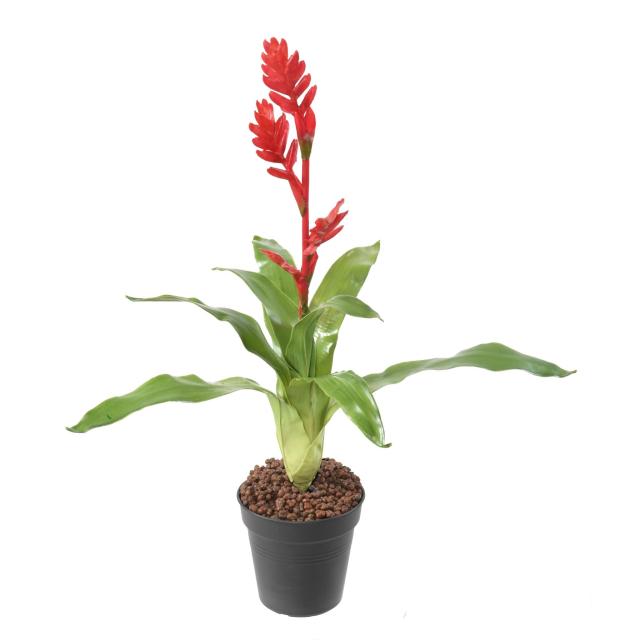 Bromelia Artificiel