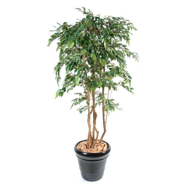 Ficus artificiel MULTITREE NATASJA