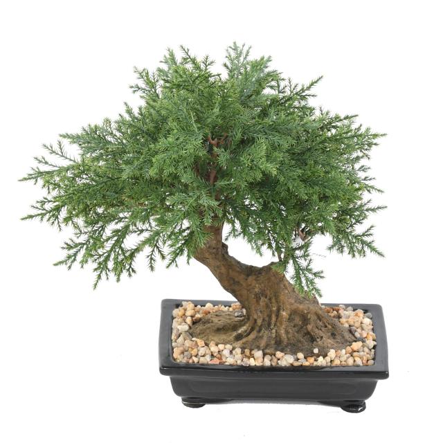BONSAI JUNIPERUS ARTIFICIEL EN COUPE