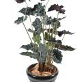 Alocasia artificiel pot