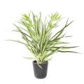 CHLOROPHYTUM Artificiel * 107