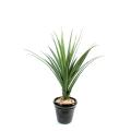 Pandanus artificiel