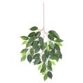 Ficus artificiel FAT SPRAY*48
