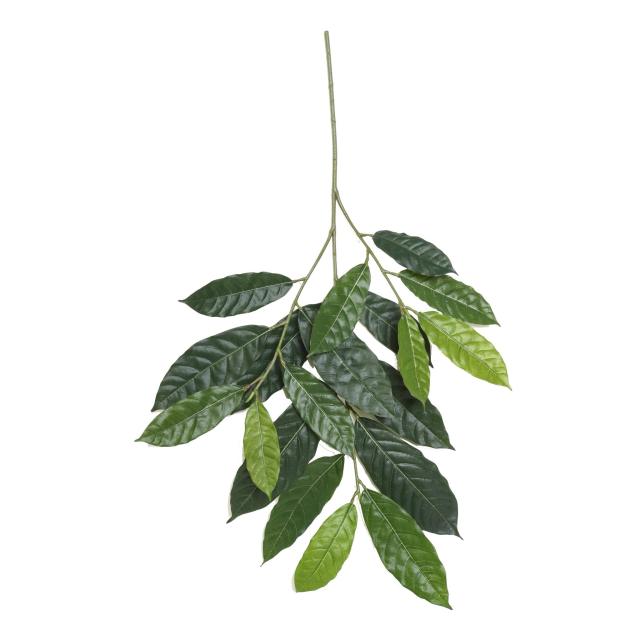 CACAO Artificiel SPRAY