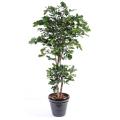 Chene artificiel NEW