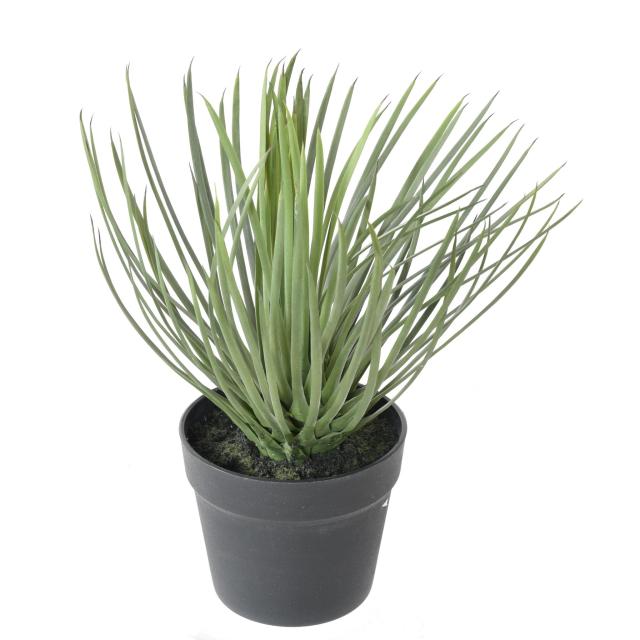YUCCA Artificiel ROSTRATA 40