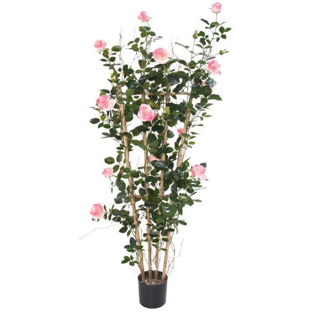 Rosier artificiel ROYAL PALISSADE