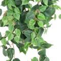 POTHOS Artificiel