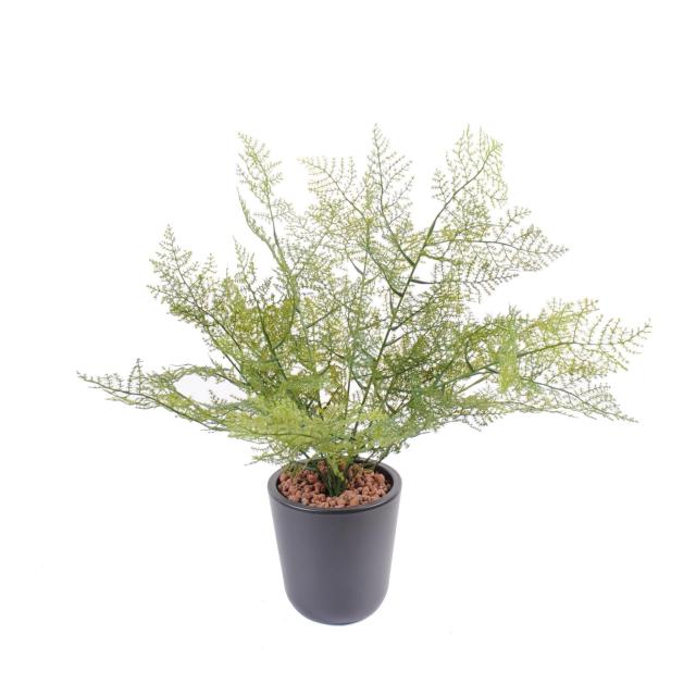 Asparagus artificiel plastique