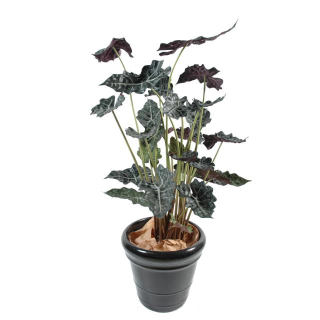 Alocasia artificiel pot