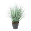 ONION artificiel GRASS NEW