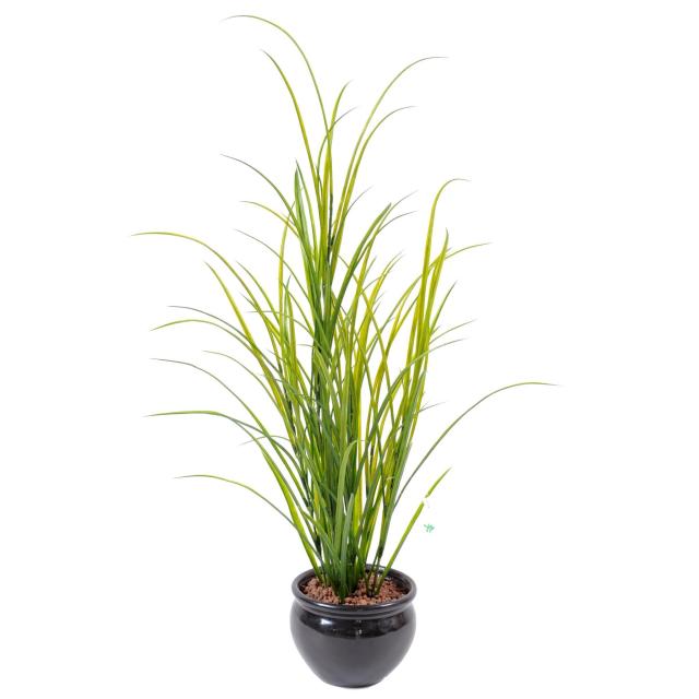 Herbe Artificielle Des Champs