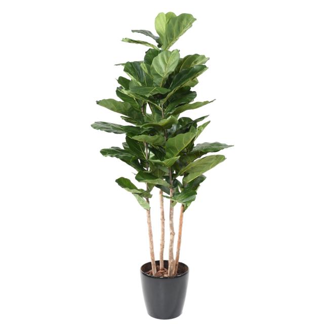 Lyrata Artificiel Multi-troncs Grandes Feuilles