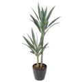 YUCCA Artificiel RAPIER