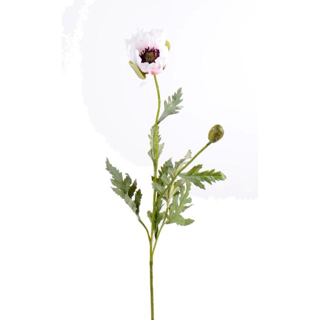 Pavot artificiel