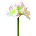 Amaryllis artificielle tige 3f