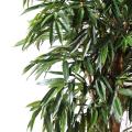 Ficus artificiel ALII ROYAL