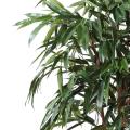 Ficus artificiel ALII ROYAL