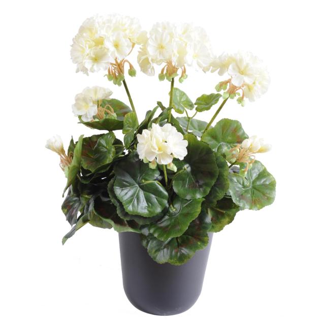 Geranium artificiel *52