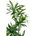 DRACAENA artificiel FRAGRANS Janet Craig
