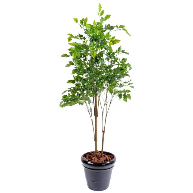 Palissandre artificielle PLASTIQUE