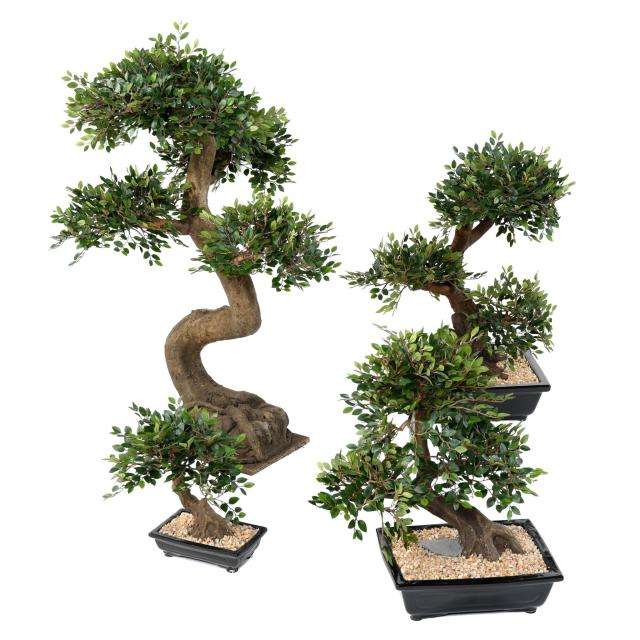 Bonsai Orme Artificiel