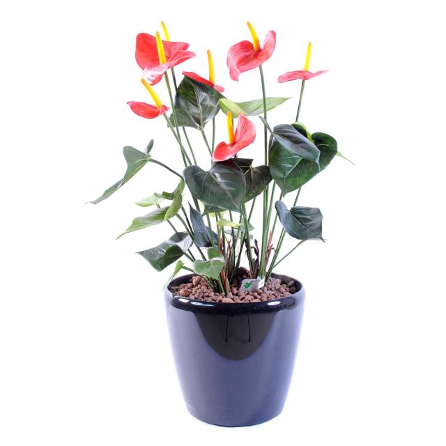 Anthurium artificiel *7