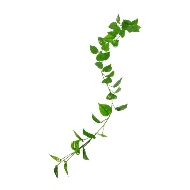 POTHOS Artificiel GUIRLANDE UV RESISTANT