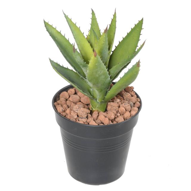 Aloe Vera Artificiel Mini Piquet