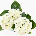 HORTENSIA Artificiel *3T 45 UV RESISTANT
