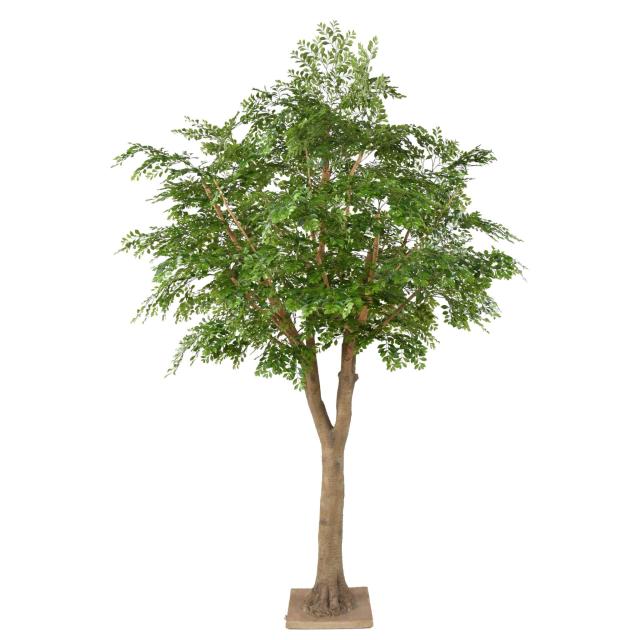BUCIDA Artificiel 300