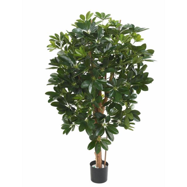 Schefflera artificiel